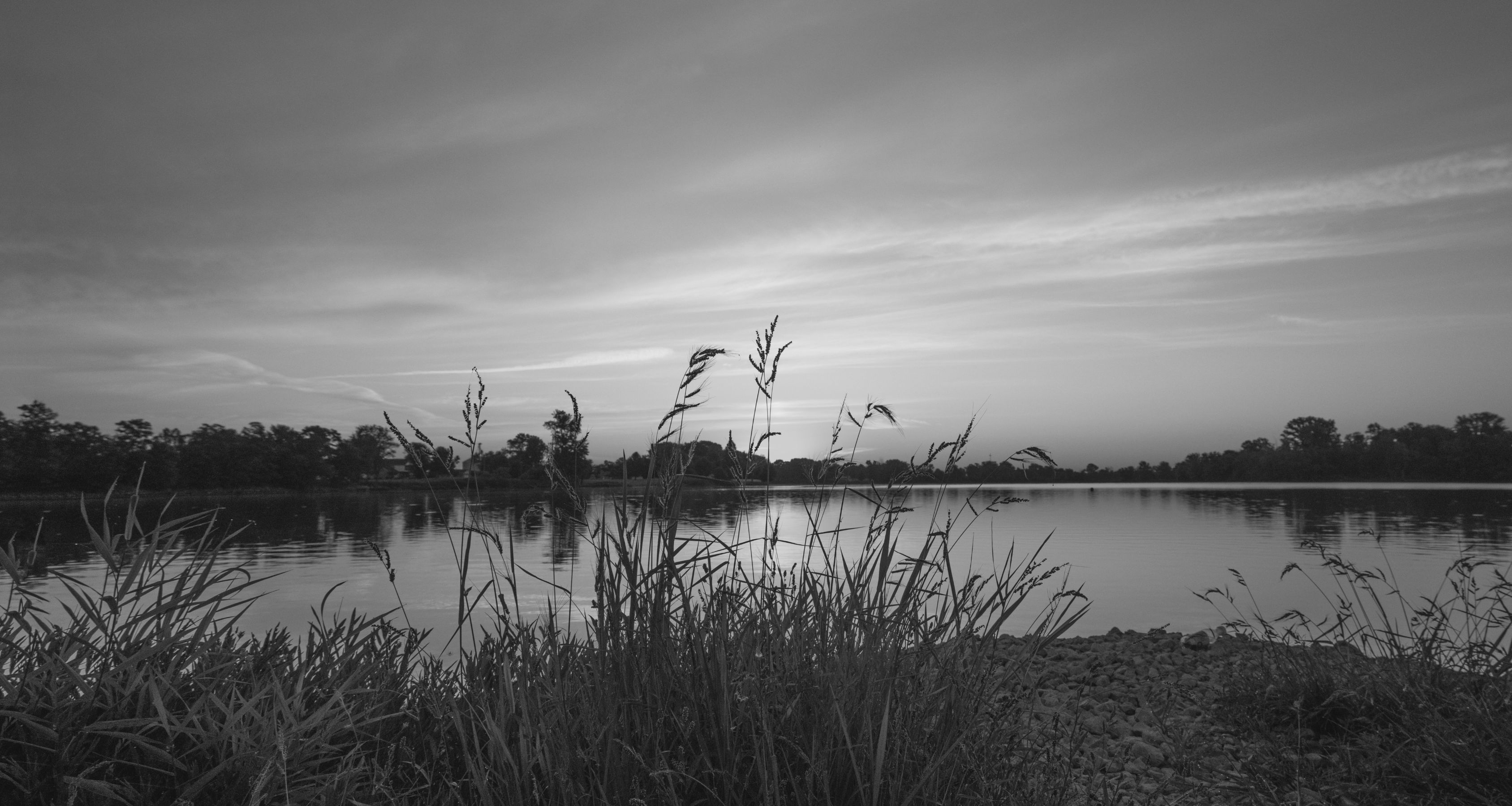 Hero banner image adoute